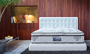 �T�[�^�̂������Ƃ́H