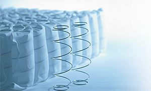 �T�[�^�̂������Ƃ́H