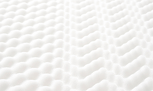 �T�[�^�̂������Ƃ́H