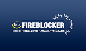 �T�[�^�̂������Ƃ́H