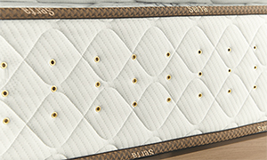 �T�[�^�̂������Ƃ́H