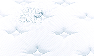 �T�[�^�̂������Ƃ́H