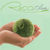 �t�����X�x�b�h�@�G�A�T�X�y���V�����@�}�b�g���X