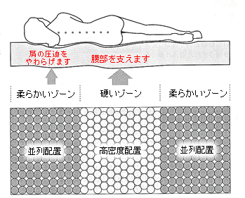 �J�����N�x�b�h�����\���E�z�u�E���R�Ȍ`�Őg�̂��x����R�]�[���\��