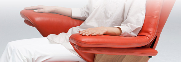 �J�����N �U��t�@�[�X�g�v���~�A���`�F�A�@�ؕ��E���n�̂������