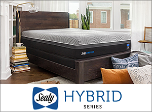 �V�[���[�@�}�b�g���X�@�V�[���[�n�C�u���b�h